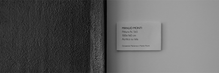 La Collezione Manlio Monti